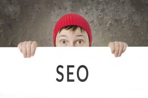 تونل بازی گربه‌ها را جدی بگیرید؛ ۱۹ نکته و ۳ ایده ساخت خانگی!